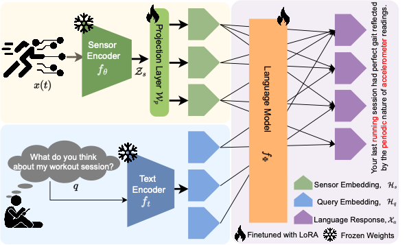 LLaSA overview